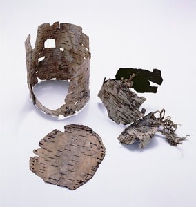 Oetzi Iceman（バーチ）で見つかったバーチ樹皮コンテナー